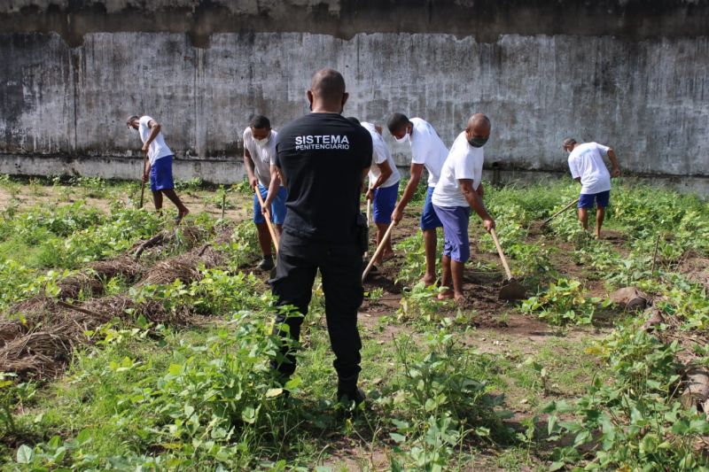 Foto: Reprodução/Secom Piauí