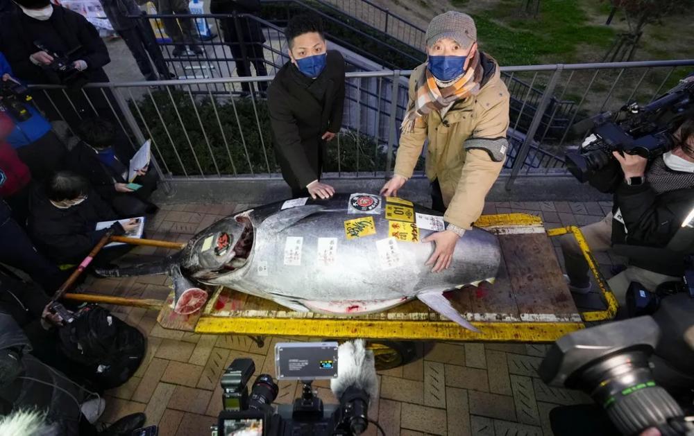 Atum de 212 quilos foi vendido pelo equivalente a mais de R$ 1 milhão. — Foto: Kyodo via Reuters