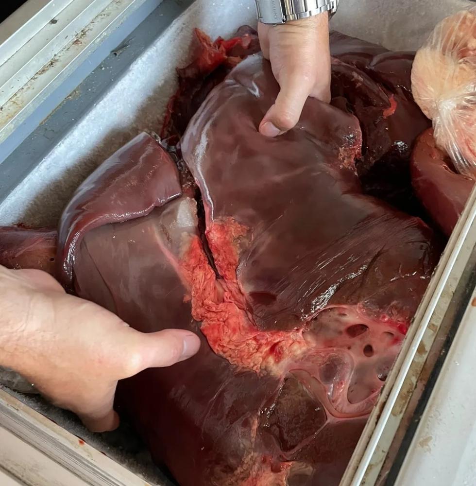 Carne imprópria para consumo foi encontrada em três estabelecimentos — Foto: Polícia Civil/Divulgação