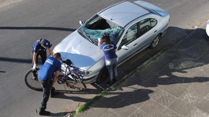 Foto: Marcia Neto da Silveira/IGP