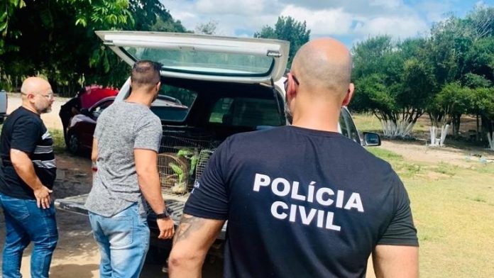 Foto: Polícia Civil RS/Divulgação