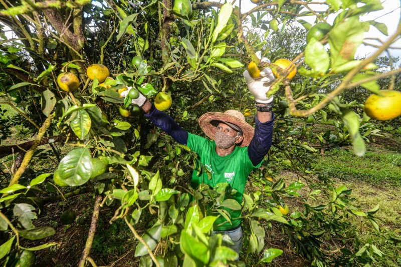 Foto: Reprodução/Secom Amazonas