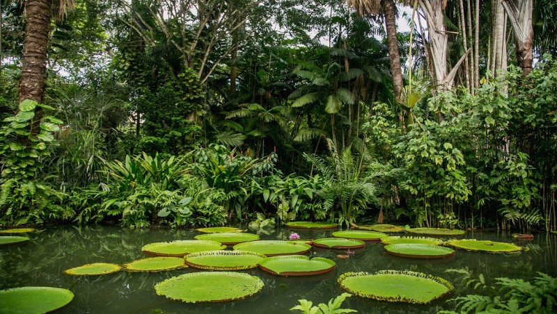 O Pará possui iniciativas sustentáveis. Crédito: Bruna Brandão/MTur Destinos