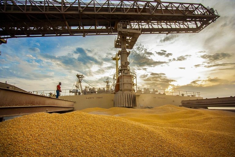 Milho embarcado no porto de Paranaguá. Acordo pretende ampliar comércio de produtos agrícolas - (Foto: Cláudio Neves/Portos do Paraná)