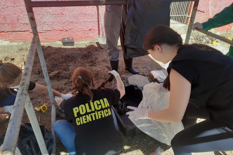Foto: Polícia Científica do Paraná