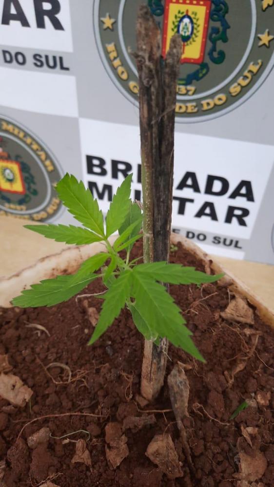 Foto: Divulgação / Brigada Militar