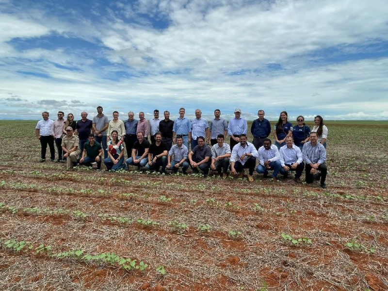 Plantação de algodão em Campo Verde - Foto por: Sedec-MT