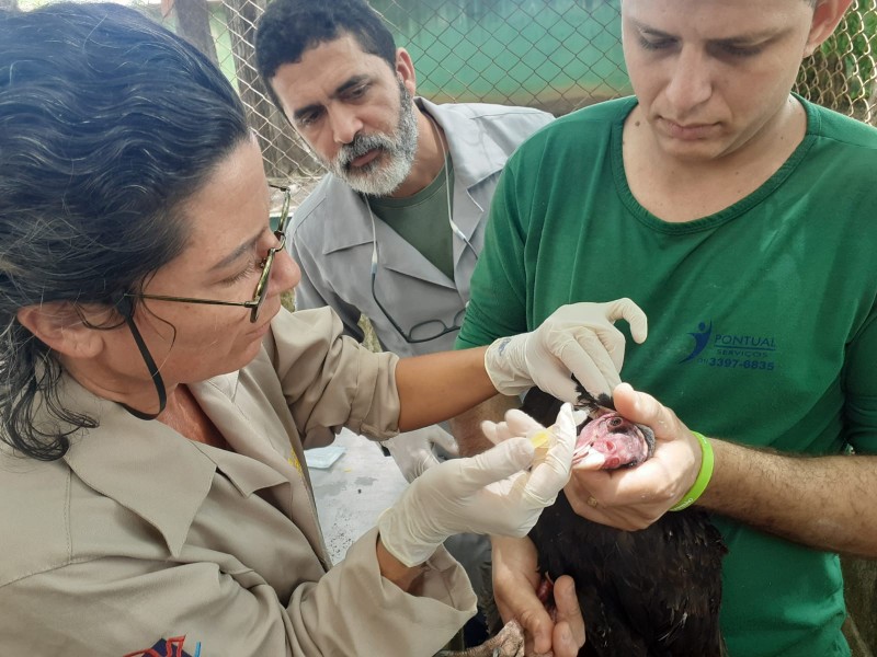 Foto: Reprodução/Secom Ceará