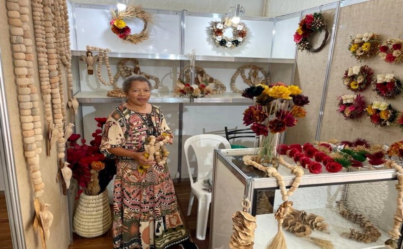 Foto: Reprodução/Secom Goiás