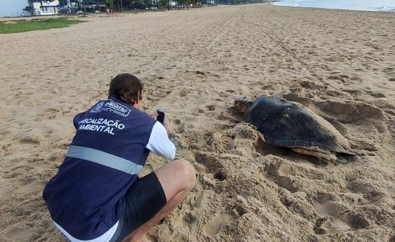 Foto: Reprodução/Prefeitura de Jaboatão dos Guararapes - PE