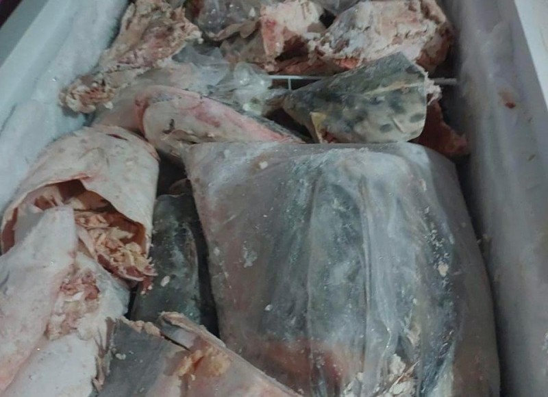 Apreensão de pescado em Ponte Branca - Foto por: Sema/MT