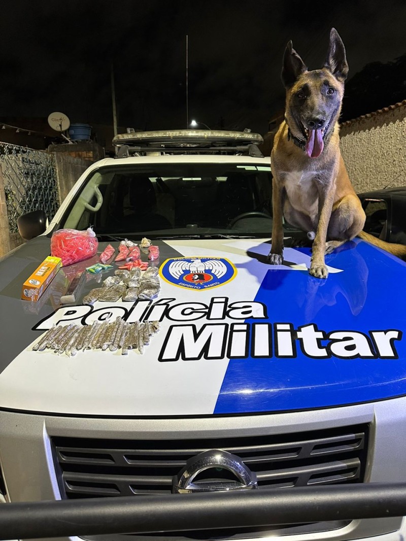 Foto: Reprodução/Polícia Militar - ES