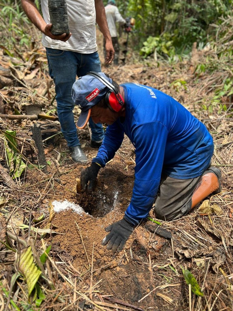 FOTOS: Divulgação/Idam