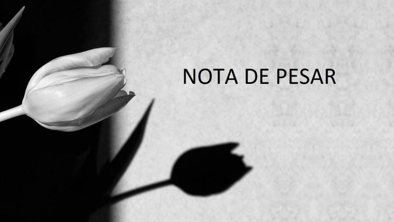 Assessoria