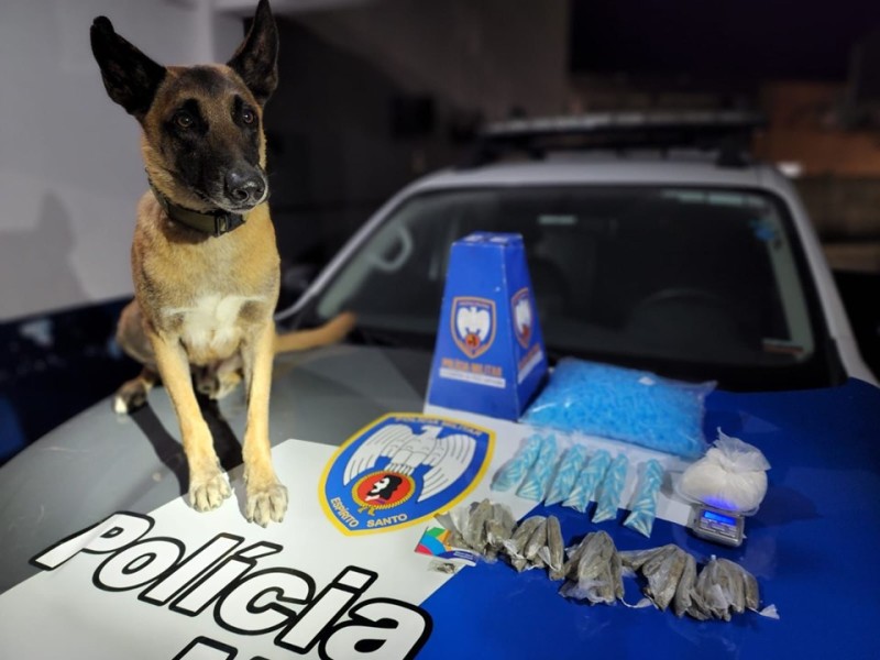 Foto: Reprodução/Polícia Militar - ES