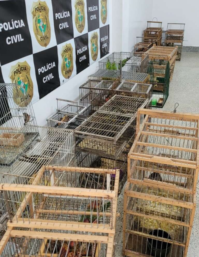 Foto: Reprodução/Secom Ceará