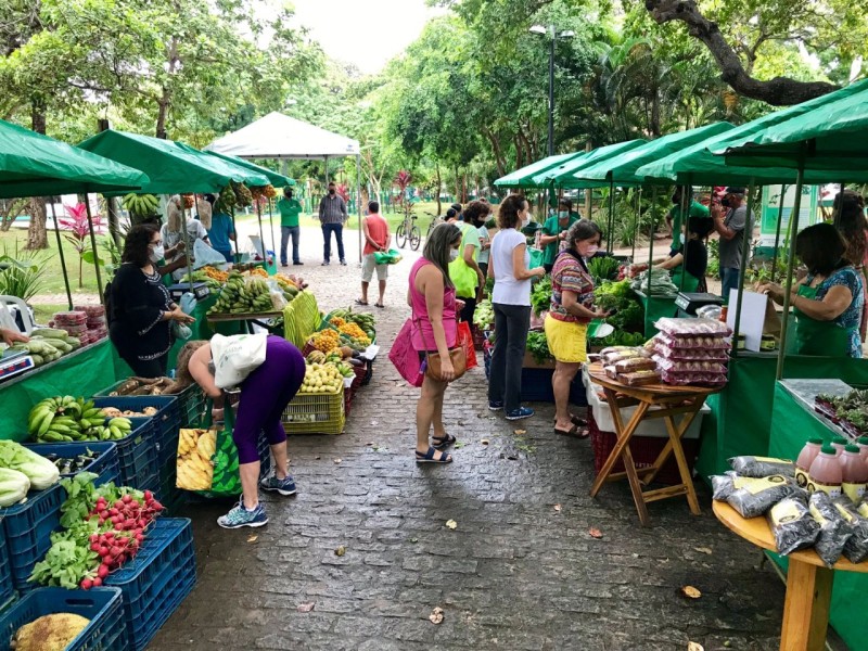 Foto: Reprodução/Secom Ceará