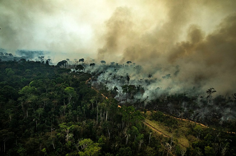 Eventos extremos, como queimadas fora de época, podem ser efeito de mudanças climáticas - Victor Moriyama/Greenpeace