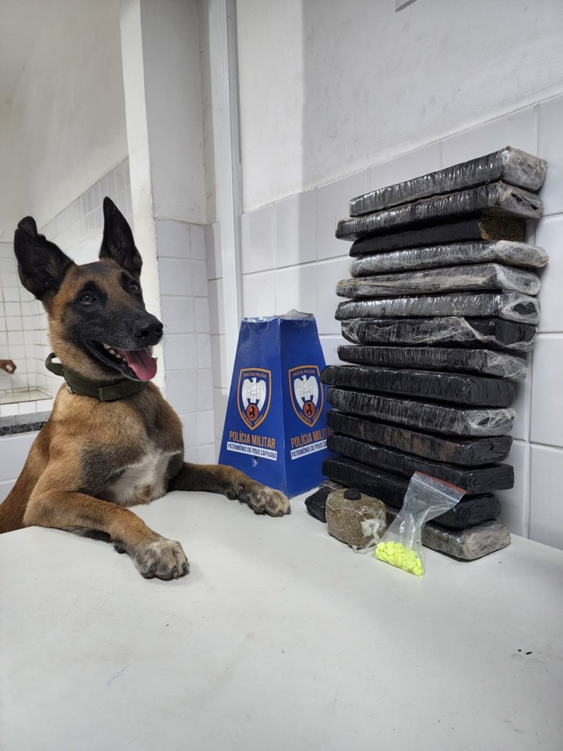 Foto: Reprodução/Polícia Militar - ES