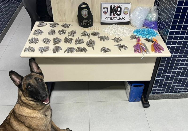 Foto: Reprodução/Polícia Militar - ES