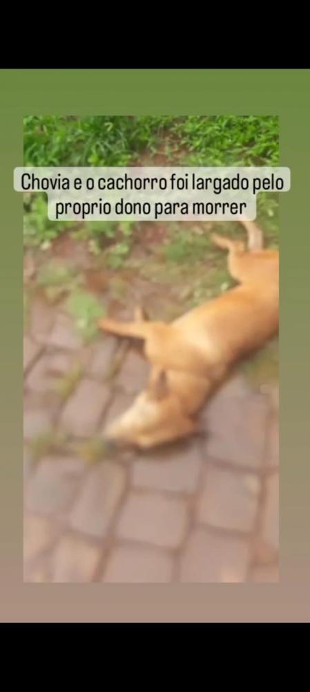 Foto: Divulgação / Redes Sociais