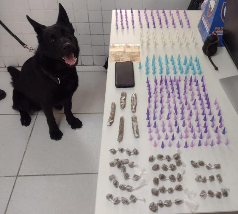 Foto: Reprodução/Polícia Militar - ES