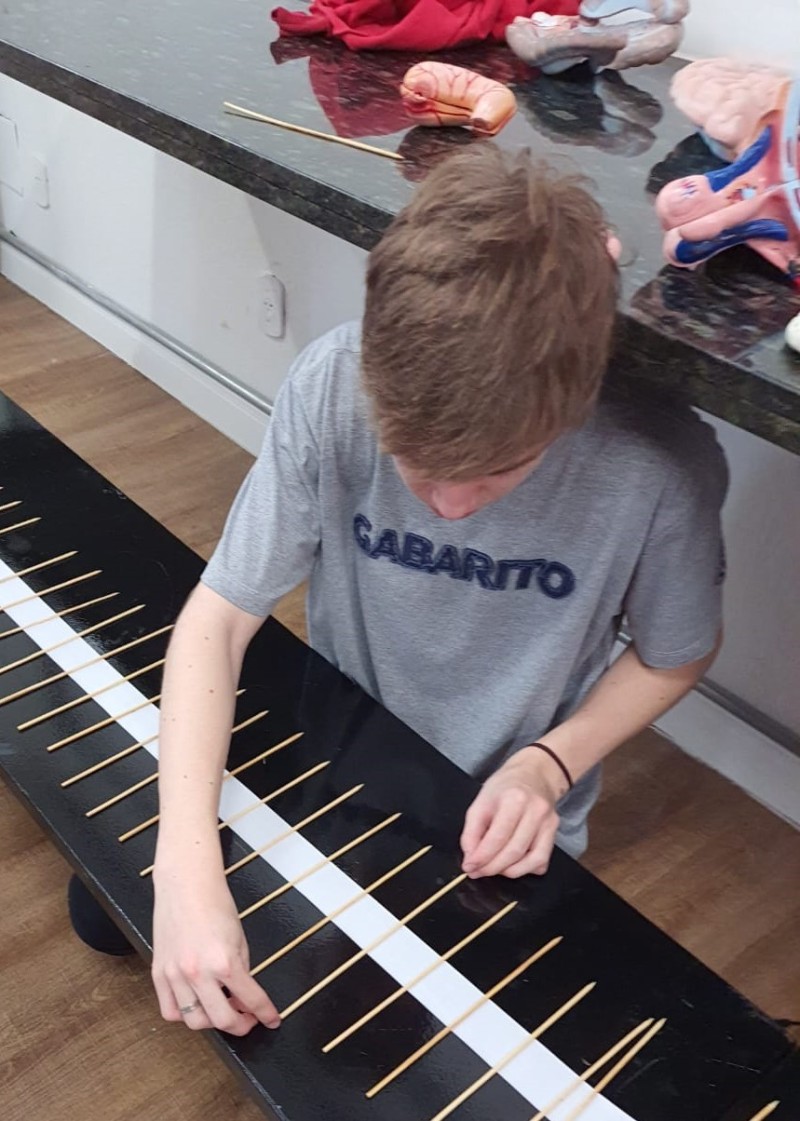 Sistema Gabarito