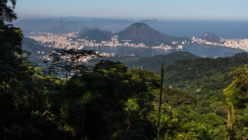 Trilha Transcarioca, no Parque Nacional da Tijuca, no Rio de Janeiro (RJ). Crédito: Arquivo MTur