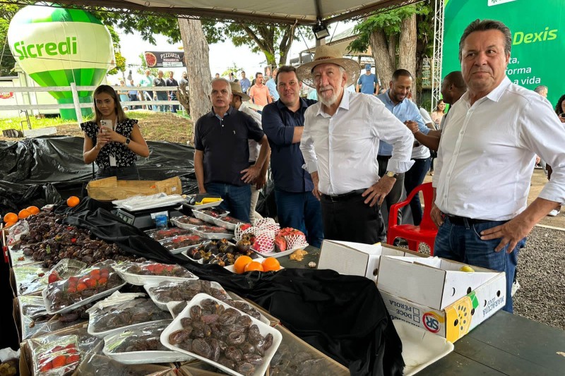 Foto: SETU-PR