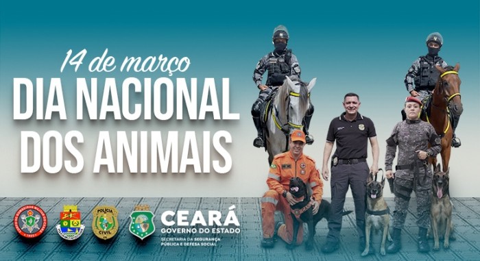 Foto: Reprodução/Secom Ceará