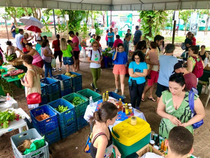 Foto: Reprodução/Secom Ceará