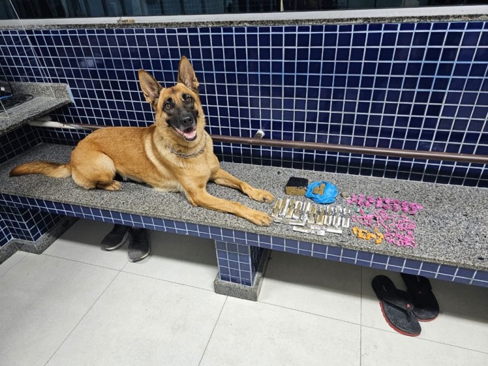 Foto: Reprodução/Polícia Militar - ES