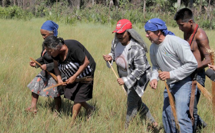 Com esse decreto o Tocantins impulsiona a valorização das comunidades quilombolas e do turismo sustentável - Foto: Fernando Alves/Governo do Tocantins
