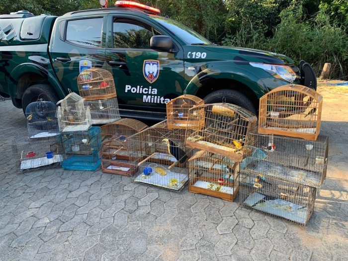 Foto: Reprodução/Polícia Militar - ES