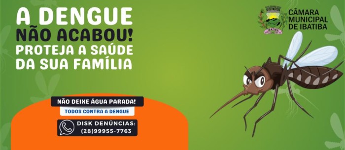 Foto: Reprodução/Câmara de Ibatiba - ES