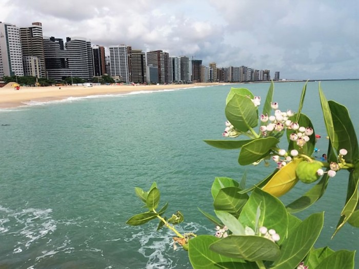 Foto: Reprodução/Secom Ceará