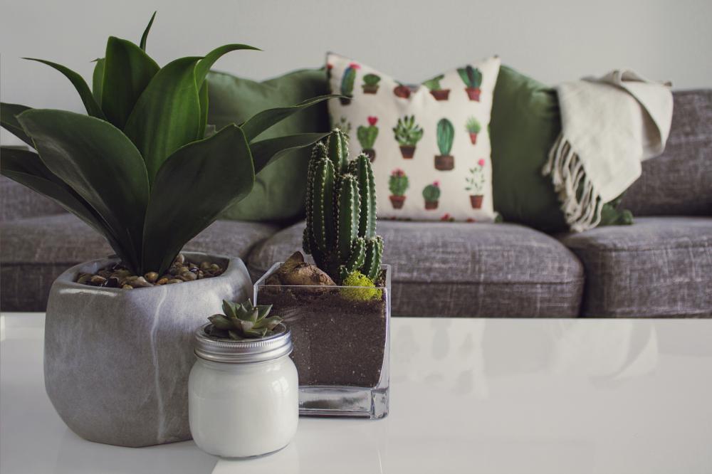 Dicas para decorar uma casa pequena e torná-la mais funcional e aconchegante 