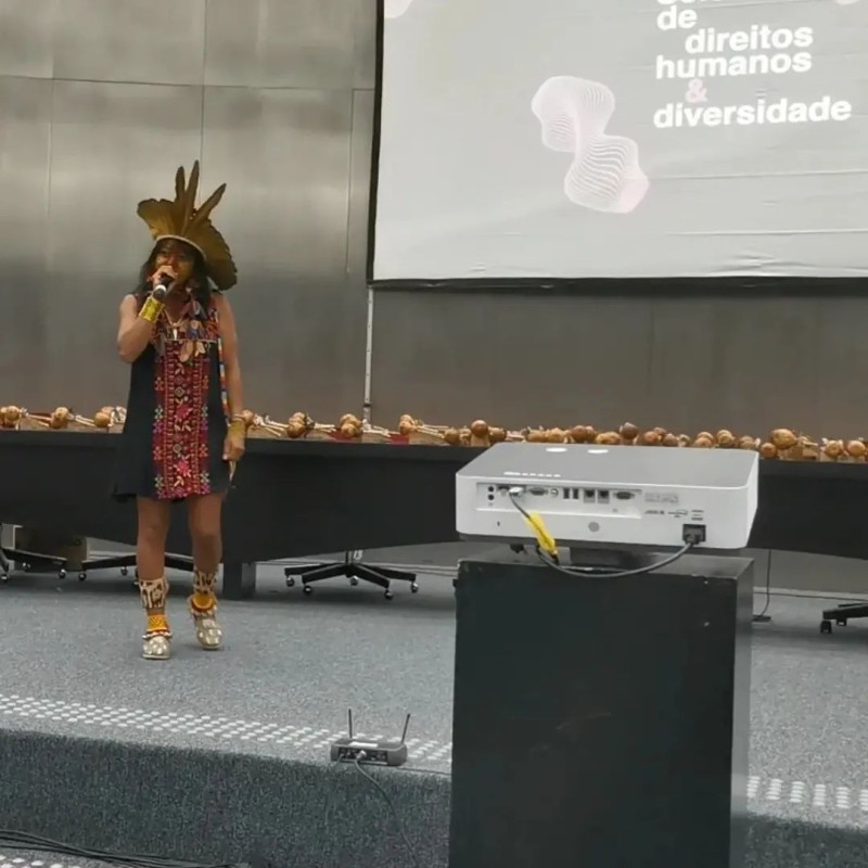 Divulgação