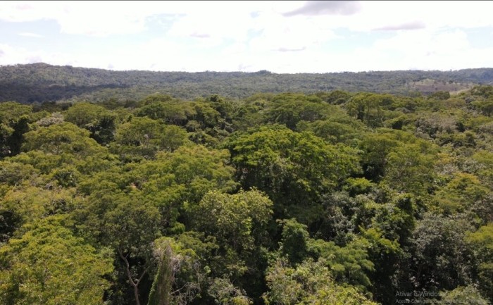 Foto: Reprodução/Secom Goiás