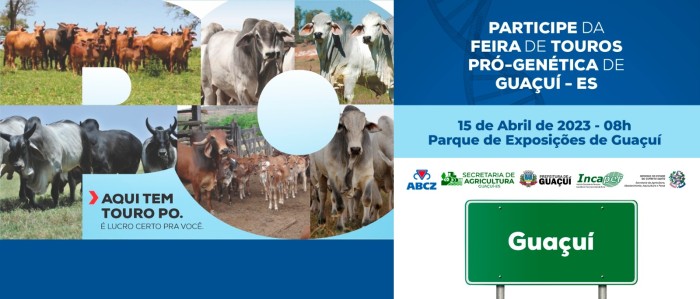 Foto: Reprodução/Prefeitura de Guaçuí - ES