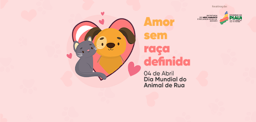 Foto: Reprodução/Secom Piauí
