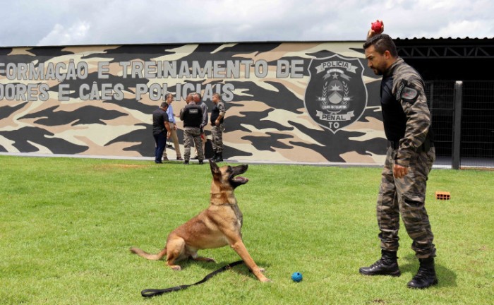 O novo espaço irá proporcionar melhor qualidade na aplicação de técnicas e cuidados para os cães do NOC - Foto: Marcos Miranda/Governo do Tocantins
