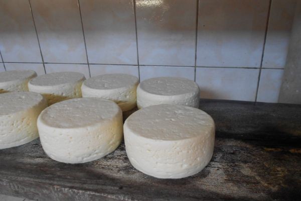 Ipeha / Divulgação