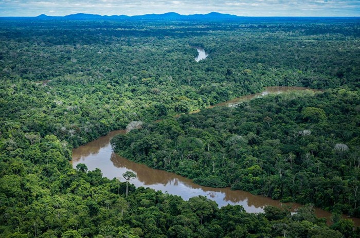 A MP permite a exploração de outras atividades não madeireiras e a comercialização de créditos de carbono - Felipe Werneck/Ibama
