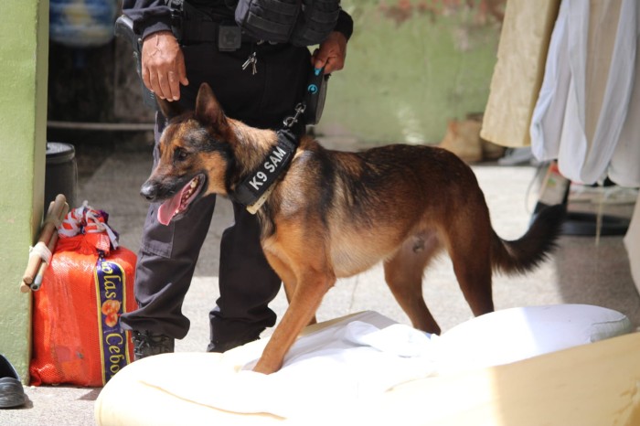 Foto: Reprodução/Secom Piauí
