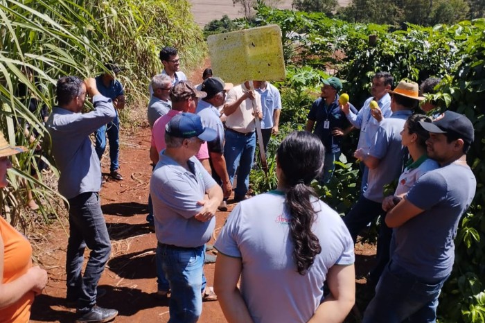 Foto: IDR-PARANÁ