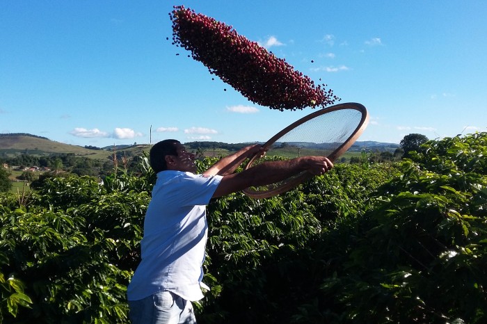 Foto: IDR-PARANÁ