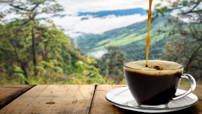 MTur celebra Dia Mundial do Café com roteiros turísticos. Crédito: Canva