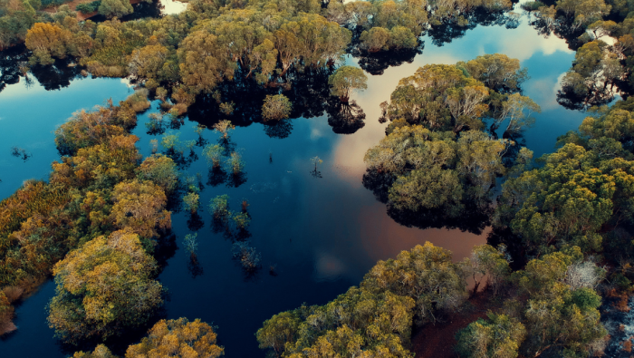 Pantanal é destaque em lista internacional da Revista Times. Crédito: Divulgação