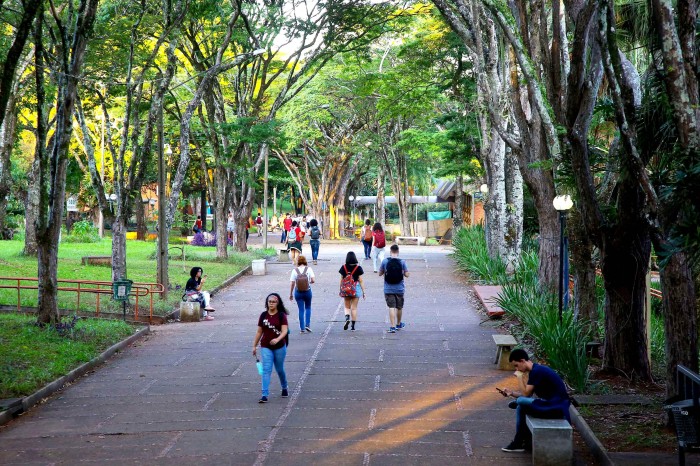 Foto: Jaelson Lucas/Arquivo AEN